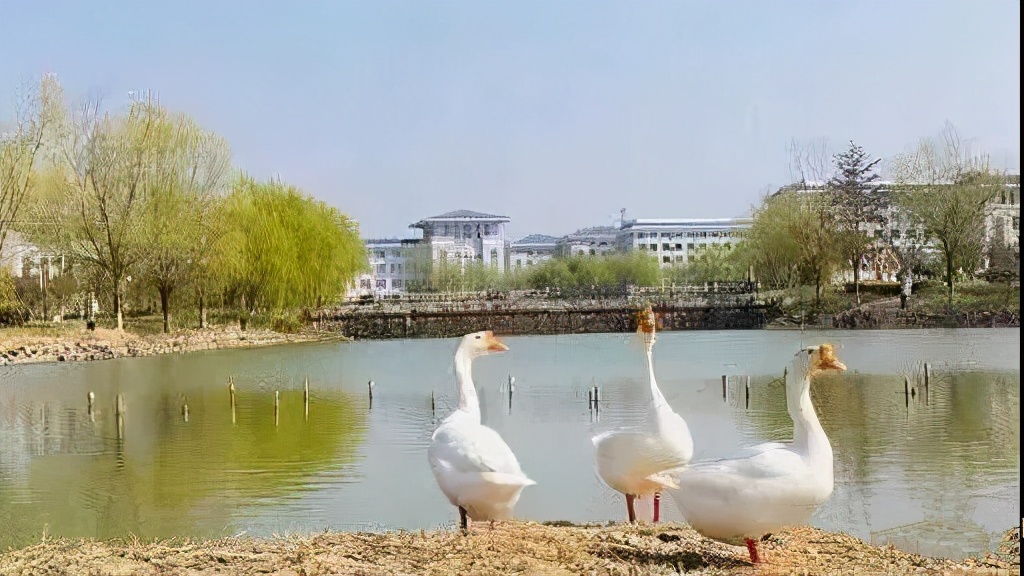 校园春色有多美，看一组照片就知道了